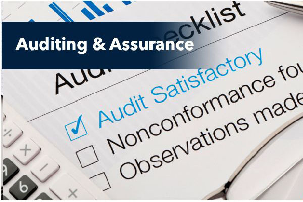 Auditing and Assurance services
